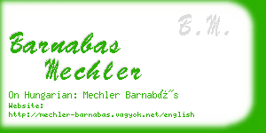 barnabas mechler business card